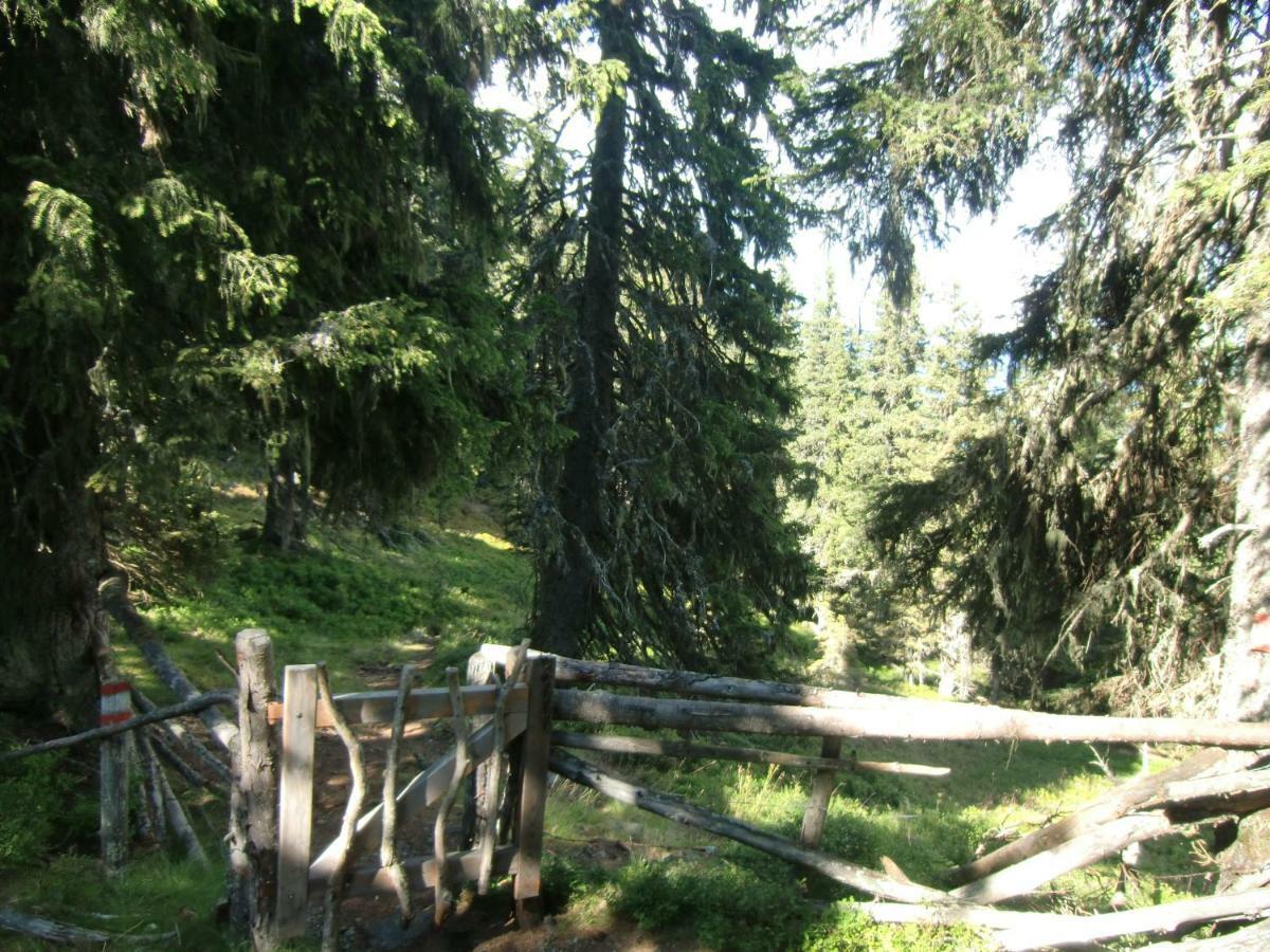 Apartment Bea Schladming Zewnętrze zdjęcie