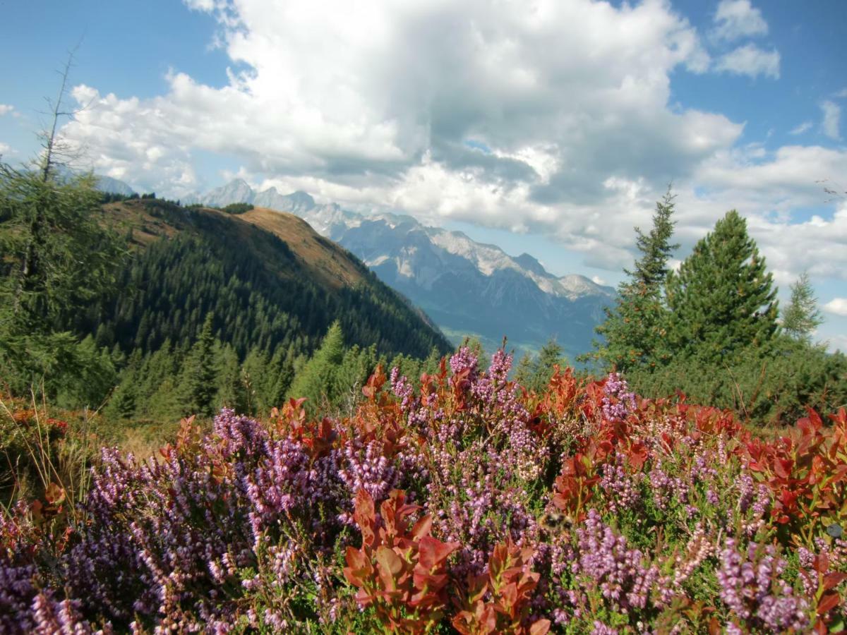 Apartment Bea Schladming Zewnętrze zdjęcie