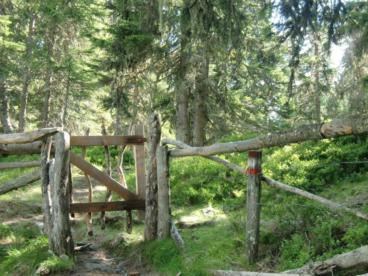 Apartment Bea Schladming Zewnętrze zdjęcie